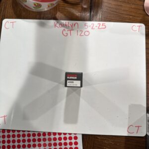 Genuine Bosch Platinum Spark Plug 4205 HR8DPX