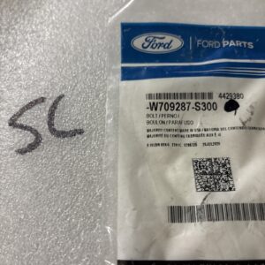 Genuine Ford Air Mass Sensor Screw -W709287-S300