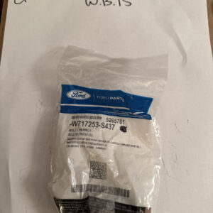 Genuine Ford OE Bolt W717253-S437