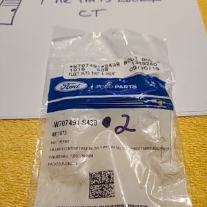 Genuine Ford Window Regulator Bolt -W707491-S439