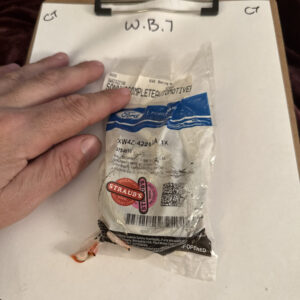 NEW OEM FORD PART XW4Z4221AA DIFFERENTIAL BALL BEARING