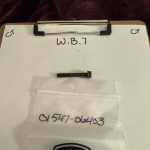 (1) Suzuki DR125,DR200,RM125 Bolt NOS 01547-06403 (L-1631) Sold Individually