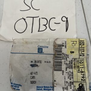 11589079 Genuine GM Tail Lamp/Rear Compartment Nut (One Nut)