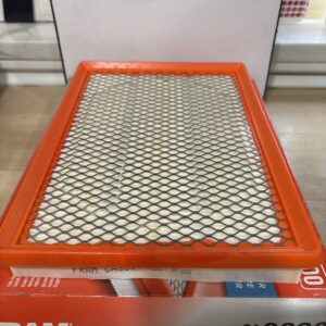 FRAM EXTRA Guard Air Filter CA9838