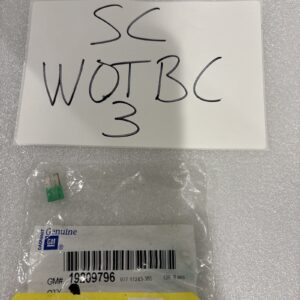 Genuine GM 30 Amp Multi-Purpose Fuse 19209796