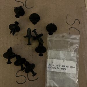 Genuine GM Multi-Purpose Rivet (Qty 10) 5973400