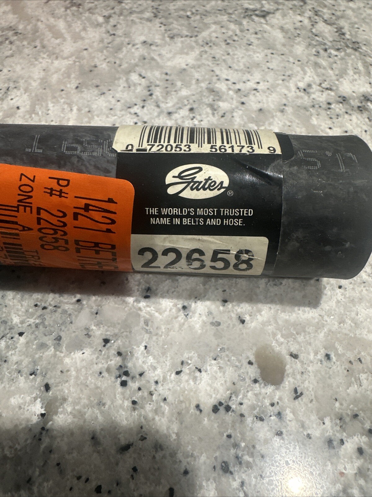 Radiator Coolant Hose-Molded Coolant Hose Lower fits 99-04 Montero Sport 3.5L-V6