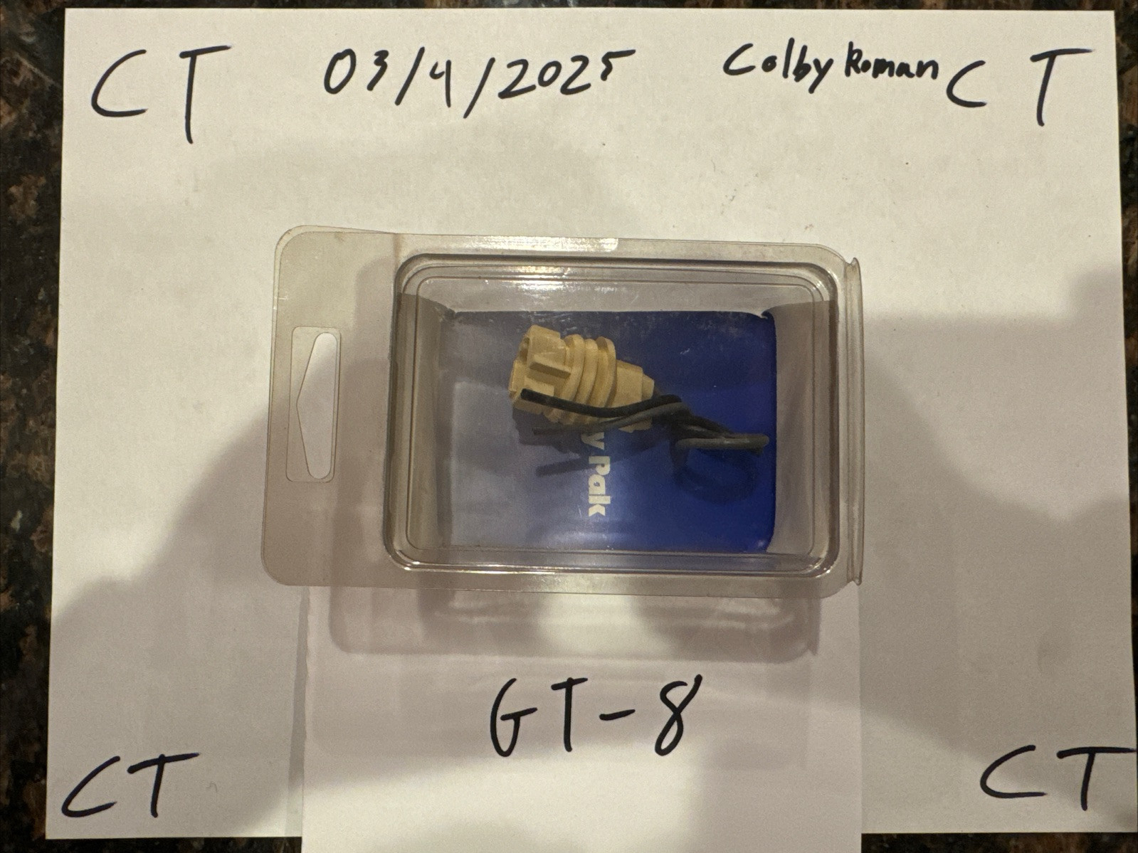 Standard S-99 Back Up Light Socket and Pigtail assembly