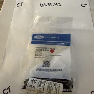 (1) Genuine Ford Headlamp Assembly Nut -W714915-S300 Sold Individually