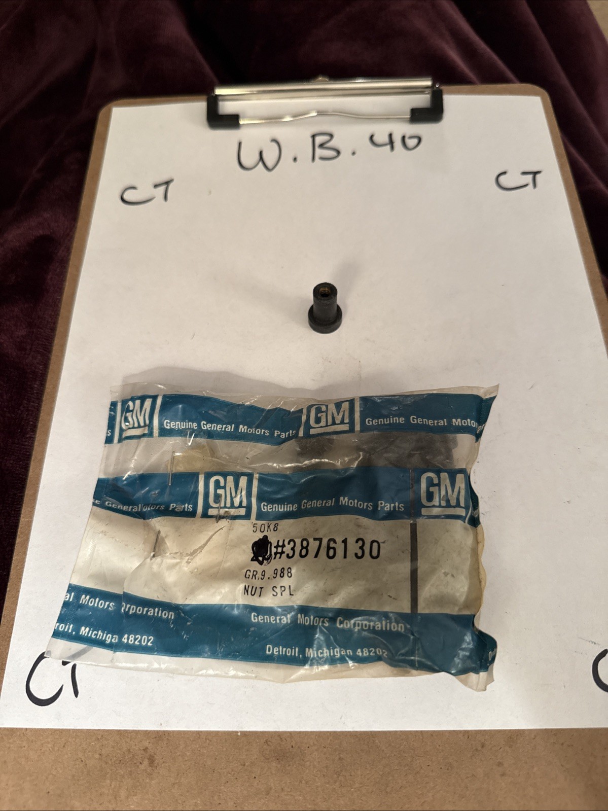 (1) Genuine GM Voltage Regulator Mounting Well Nut 3876130 Corvette Camaro Nova