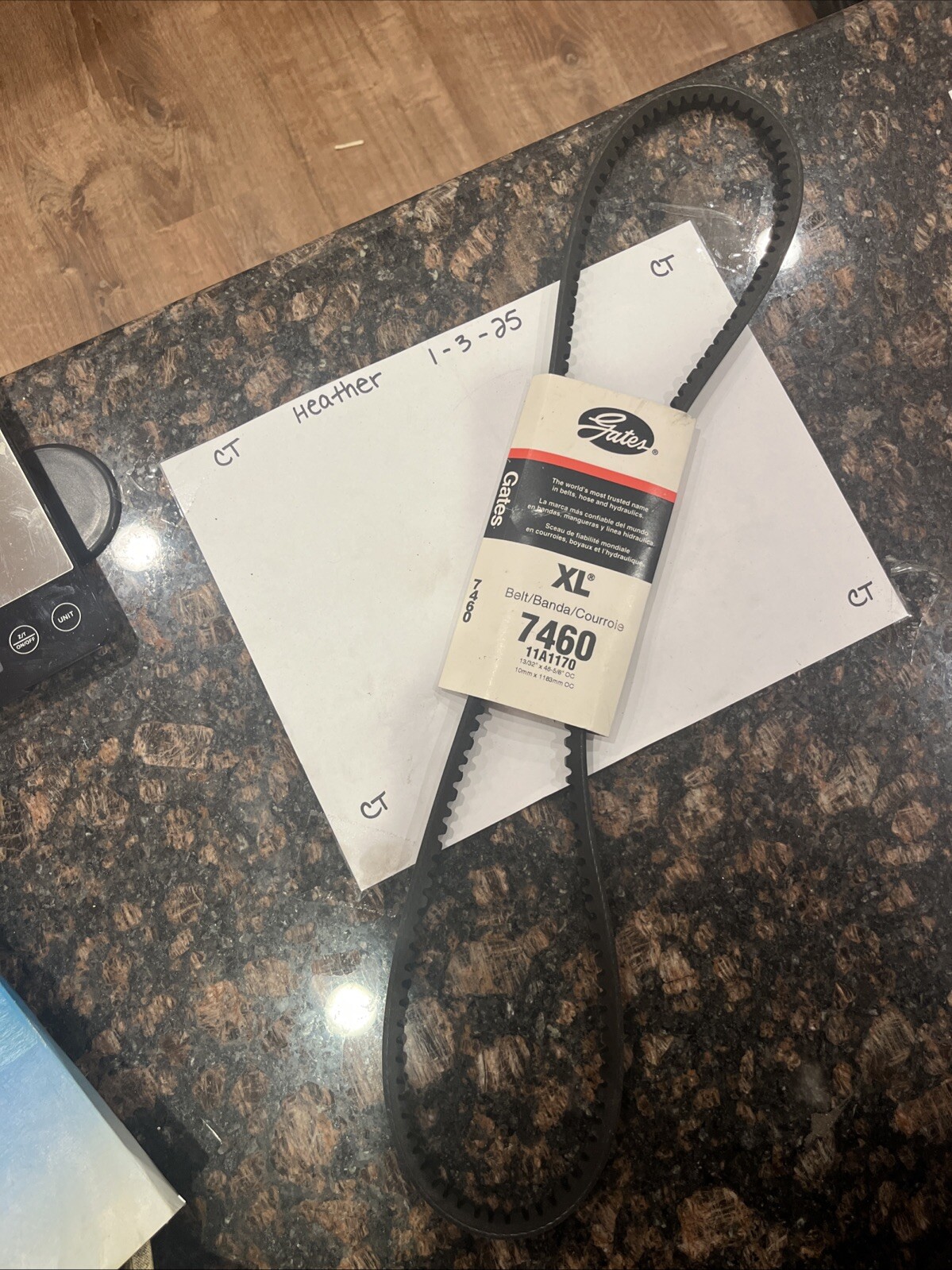 Accessory Drive Belt-High Capacity V-Belt 7460 Gates XL 11A1170