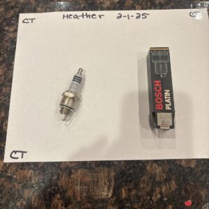 Bosch WR8FPZ Platinum Spark Plugs