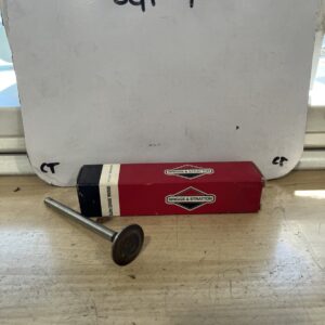 Briggs & Stratton 390420 (9347) Exhaust Valve