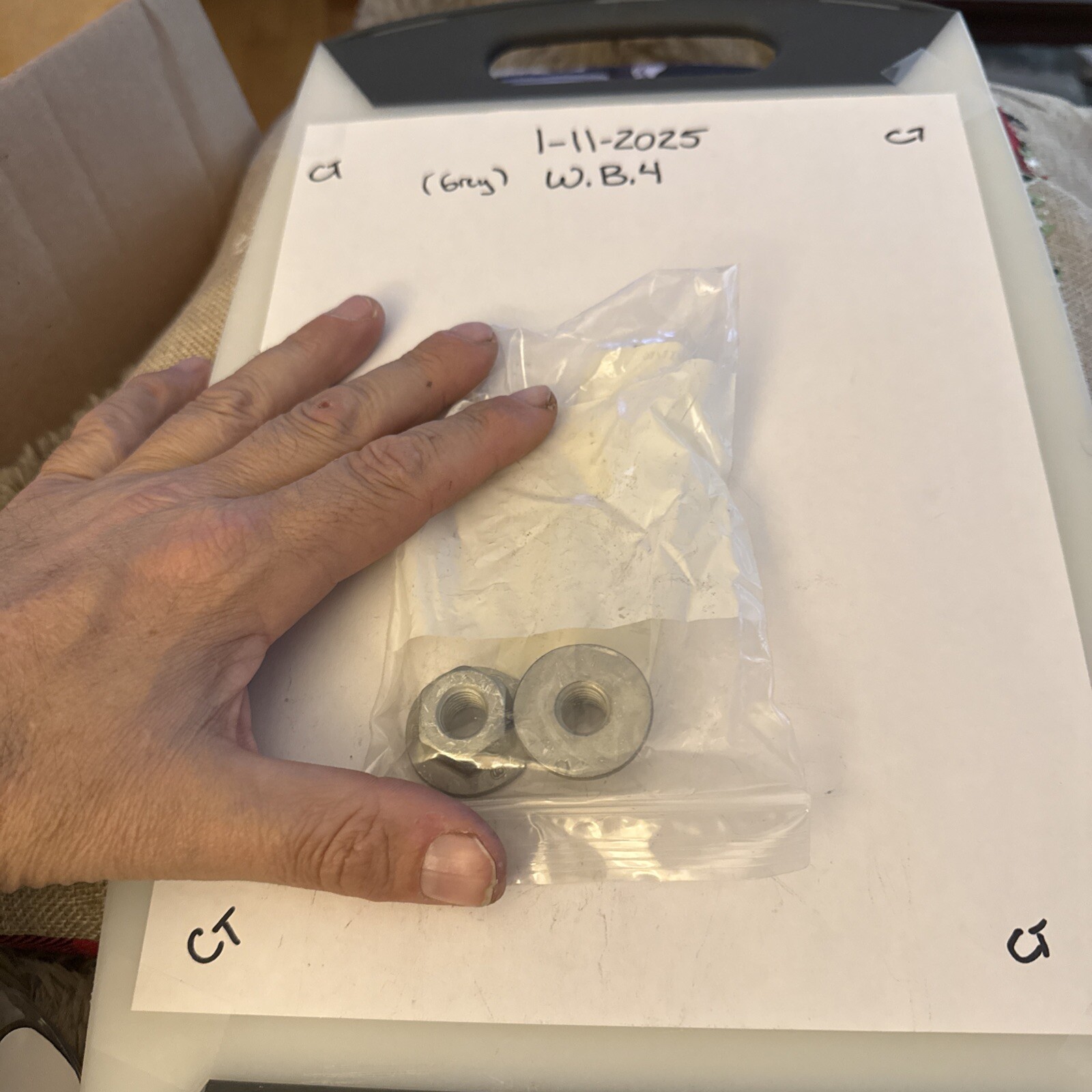 Genuine Ford OE Nut - Anchor N804525-S440 - Image 3