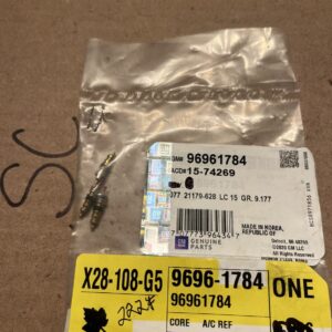 Genuine GM Air Conditioning System Valve Core 96961784 (sold Individually)