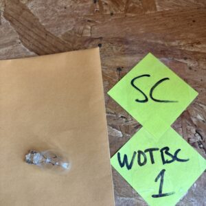 Genuine GM Multi-Purpose Light Bulb 9436750