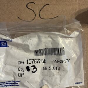 Genuine GM Wheel Lug Nut Cap 09597158 *QTY 3*
