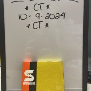 NEW Safety Kleen Oil Seal 19500