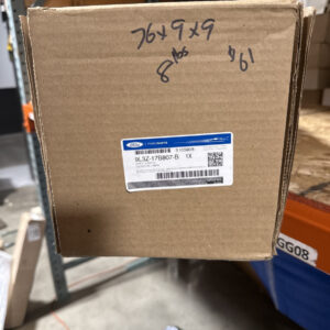 09 thru 14 Ford F-150 OEM Genuine Ford Rear Bumper Top Step Pad Cover w/ Prox