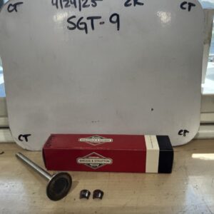 Briggs & Stratton 390420 (9308) Exhaust Valve