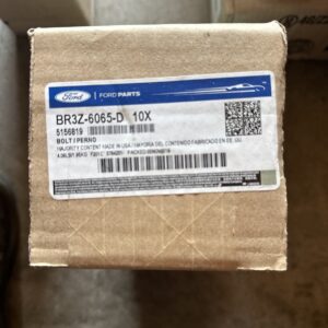 Ford BR3Z-6065-D Engine Cylinder Head Bolt Set of 10