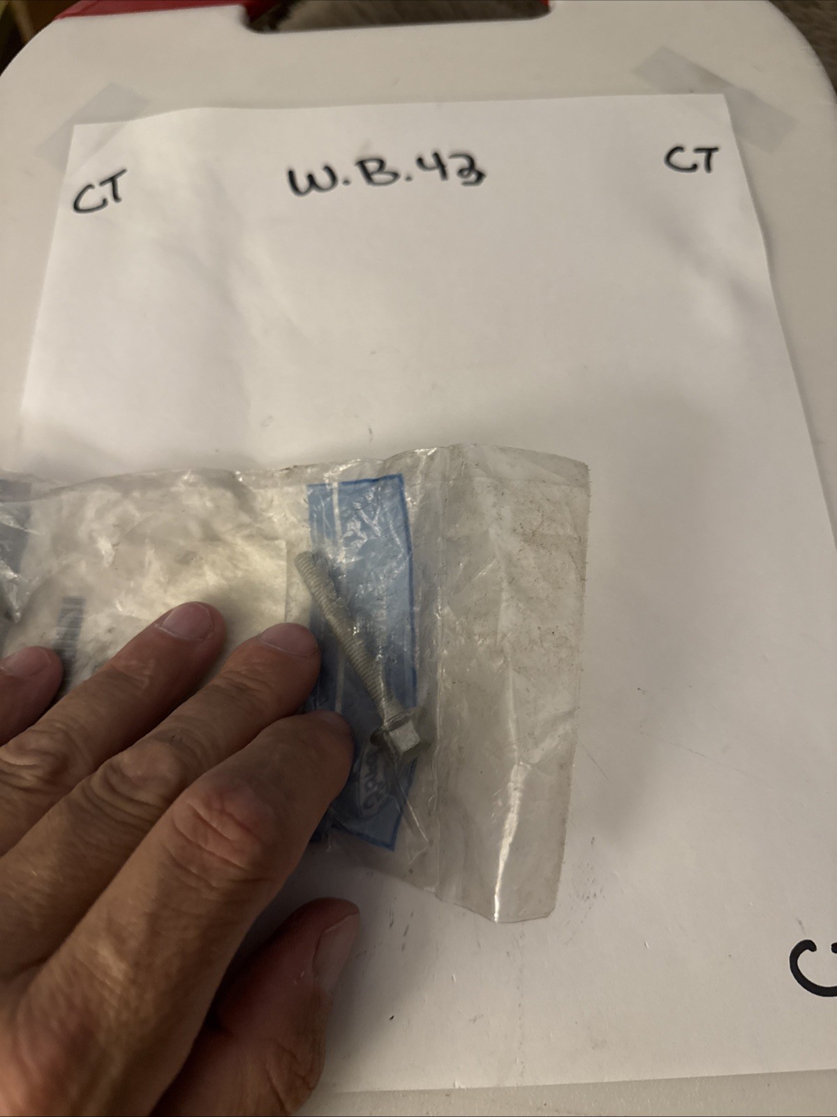 (1) Genuine Ford -W707873-S442 Bolt 2018-2019 Sold Individually - Image 3