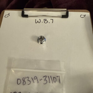 (1) Suzuki NUT 08319-31107 OEM NEW Sold Individually