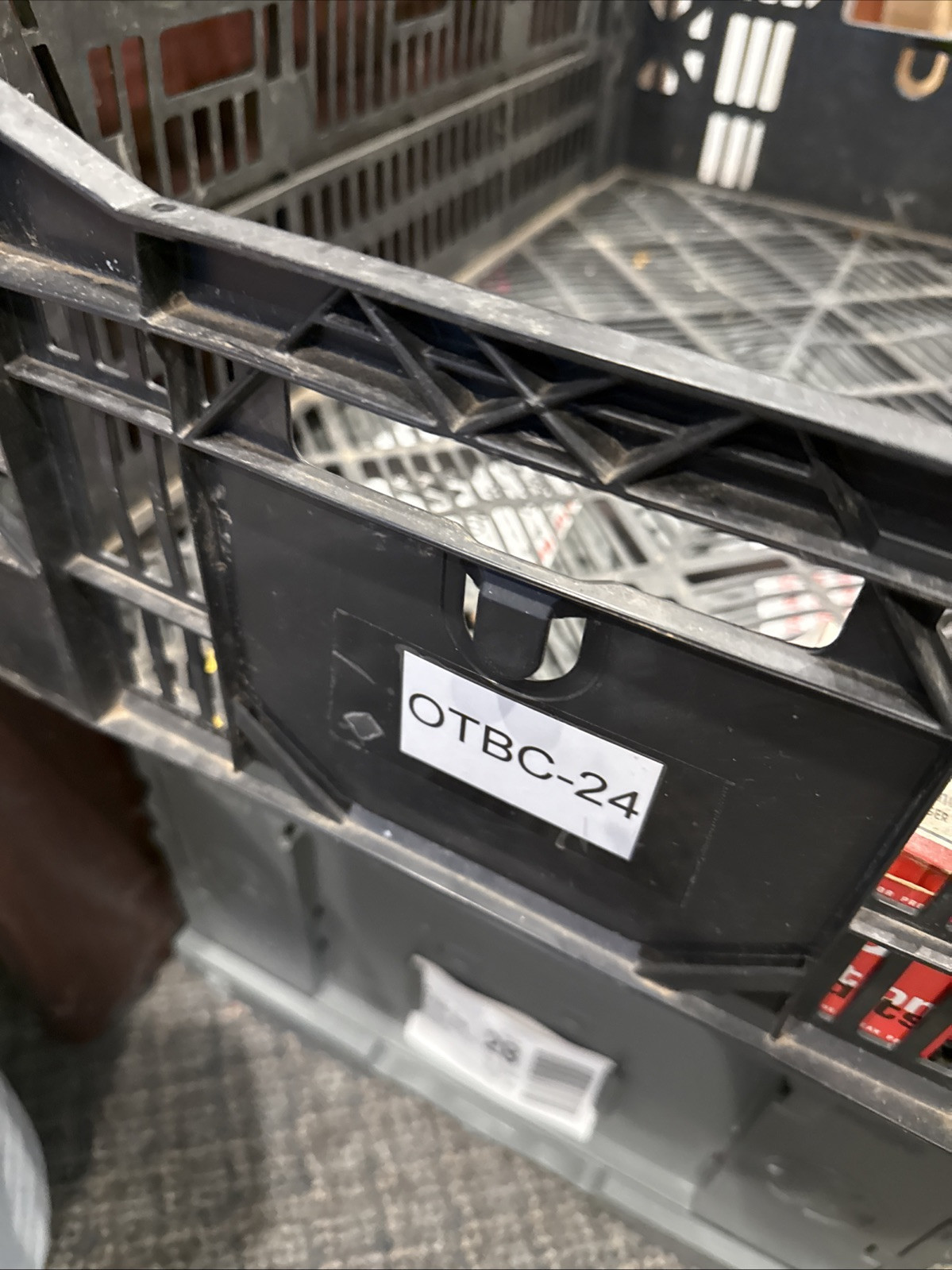 Back Up Light Socket-Wagon Standard S-98 - Image 3