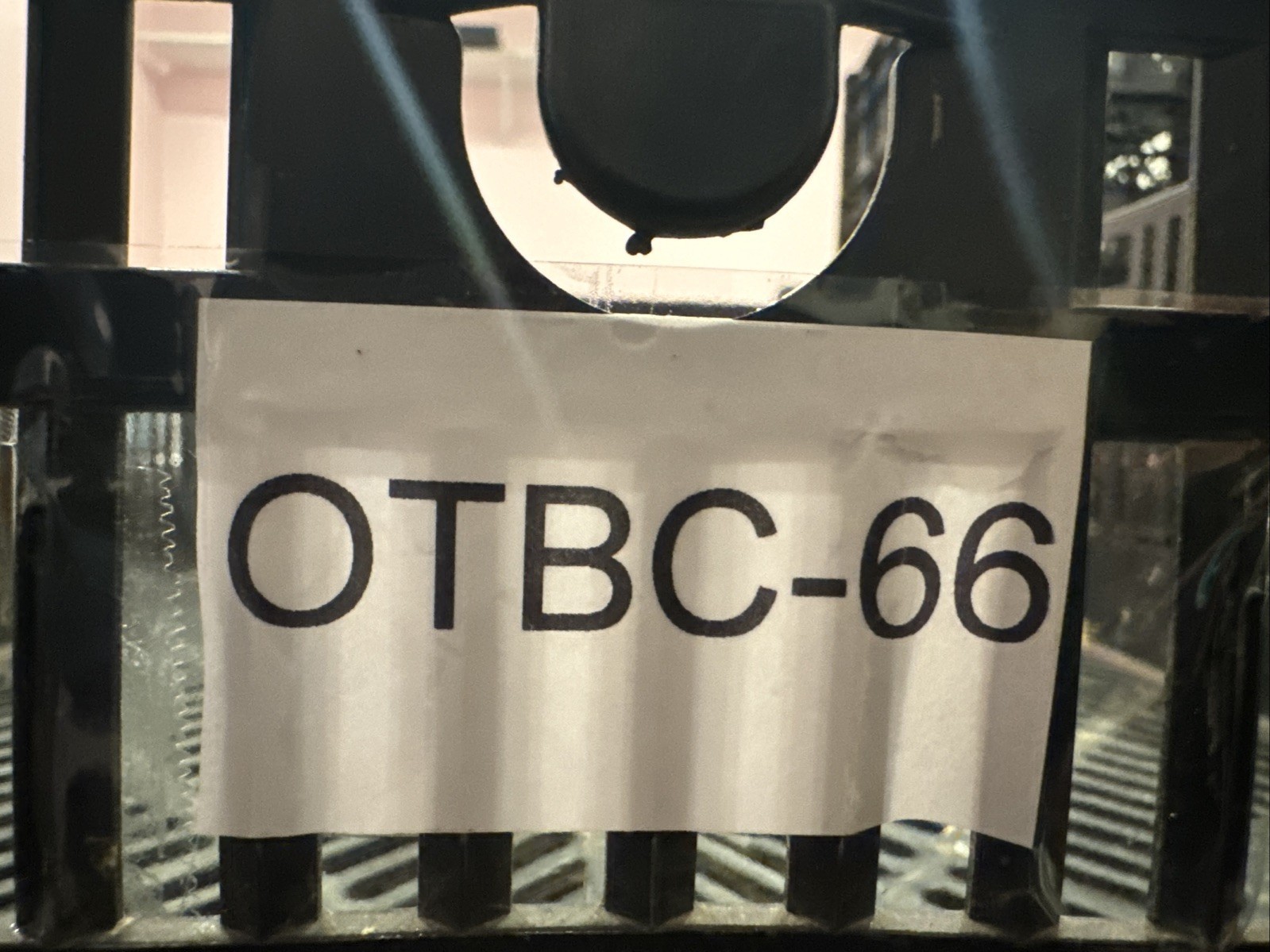 Distributor Rotor Standard FD311T - Image 5