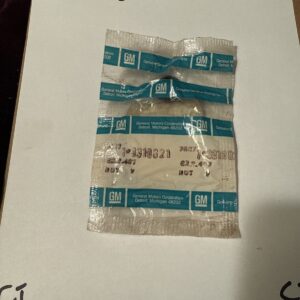 Genuine GM 69-74 Nova 69-81 Camaro HeadLamp Switch Nut 3919021  NOS OEM