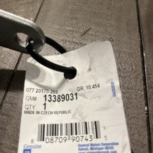 Genuine GM OEM 13389031 Door Hinge-Lower Right 13389031