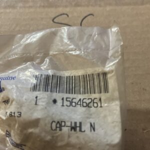 Genuine GM Wheel Nut Cap 15646261