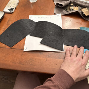 Gm Shield 3991176 1971