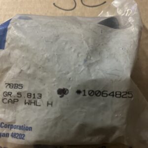 New OEM GM Wheel Nut Cap Part#10064825 (92-93 Chevy Beretta) Sold Individually