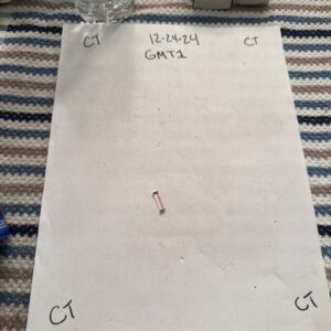 Retainers Genuine GM 12 pcs 00601261