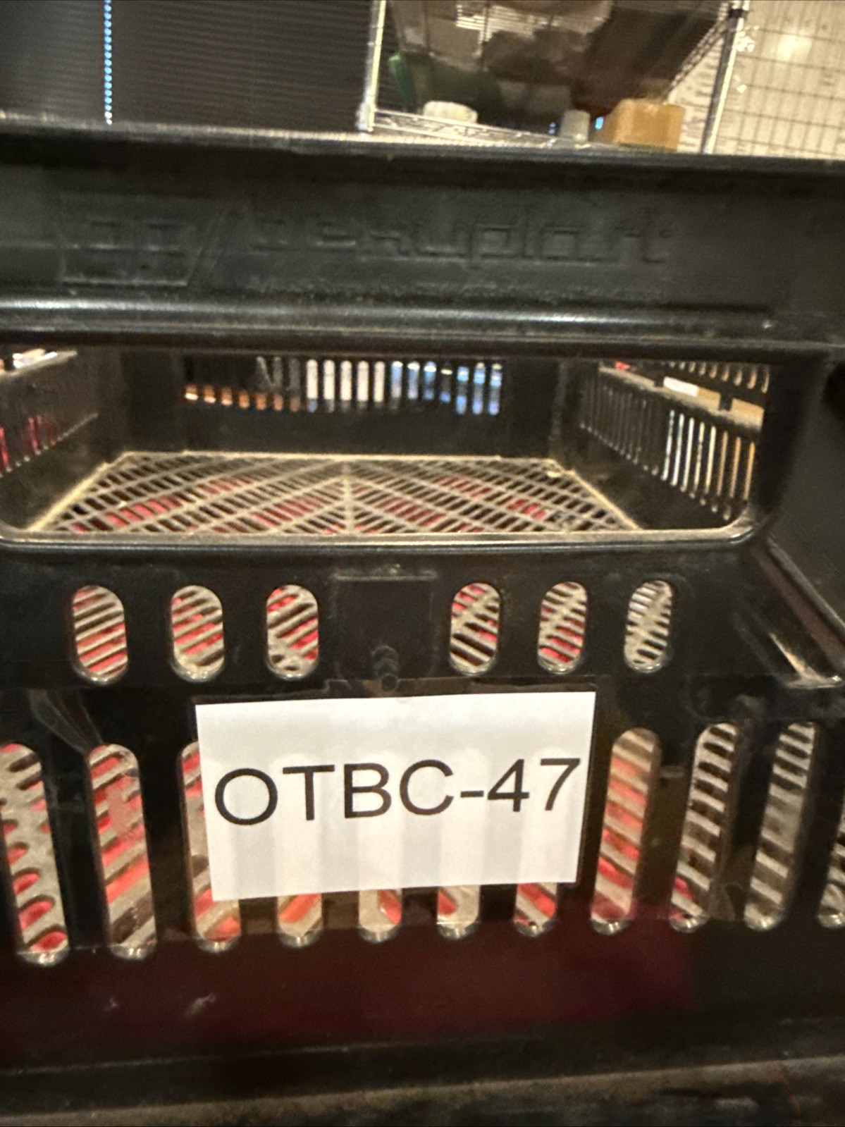 (1) NOS Standard Rotor FD-105 - B6-97 - Image 3