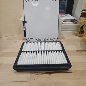 CA8730 Fram Automotive Air Filter