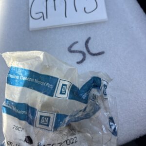 GM 15677022 Chevrolet Chevy Van Truck G20 G30 Seat Belt Factory Bolt