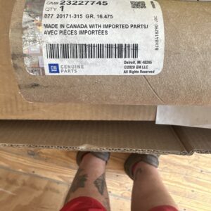 GM OEM Rear Window/Door-Belt Molding Weatherstrip Right 23227745