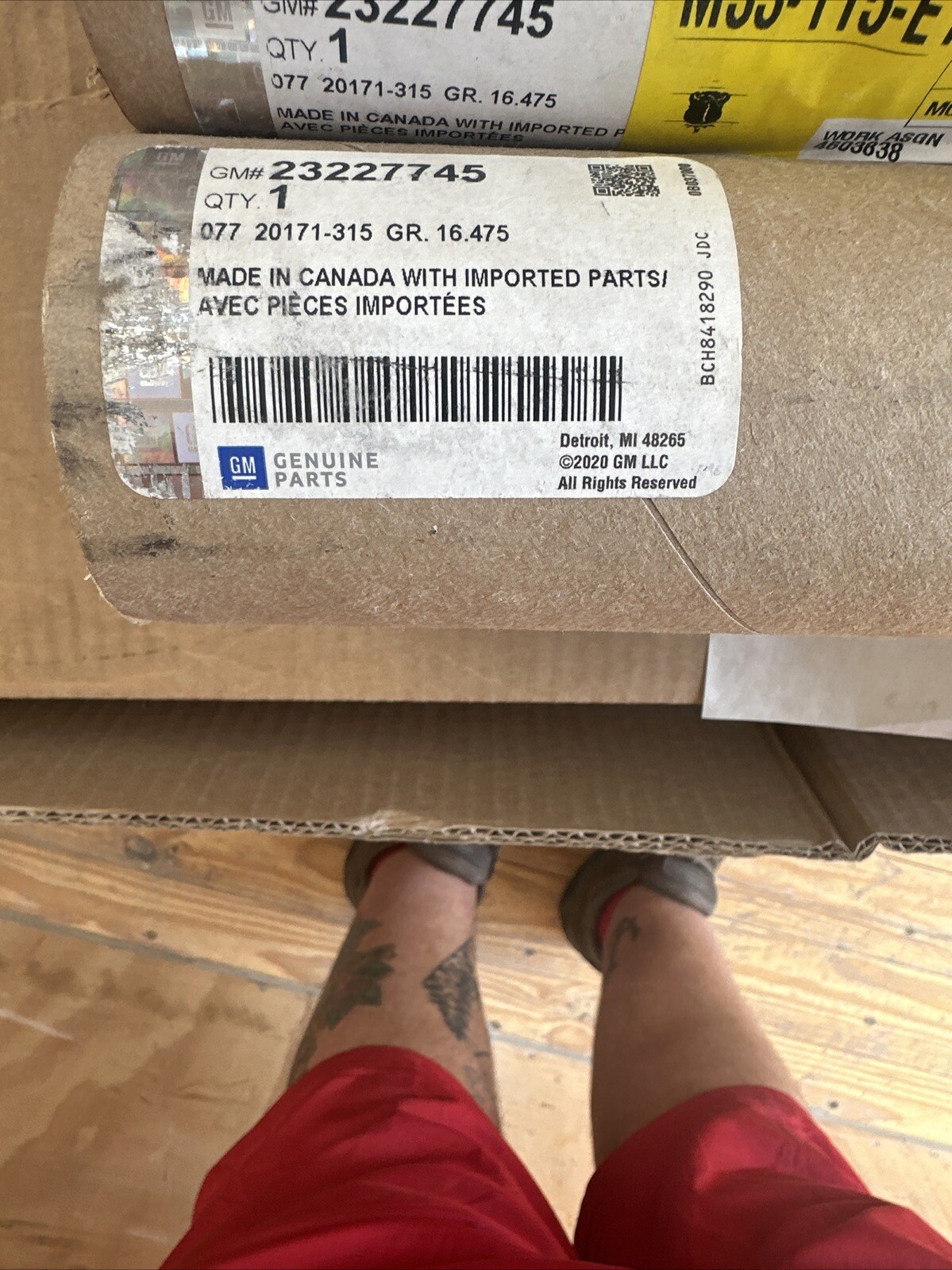 GM OEM Rear Window/Door-Belt Molding Weatherstrip Right 23227745