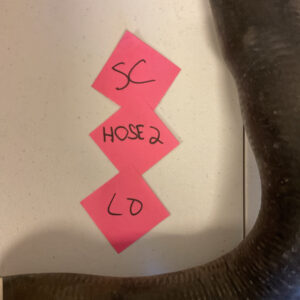 Gates Standard ECR 21236 Premium Molded Coolant Hose