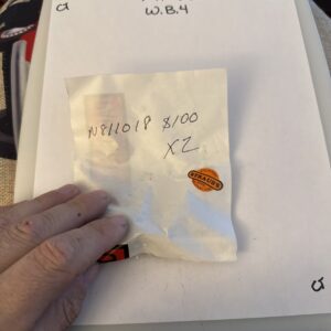 Genuine Ford License Plate Bracket Rivet (2) N811018s100