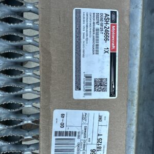 Motorcraft Ash24666 Shock Absorber Assembly