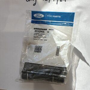 OEM Ford Fuel Rail Plug W302908