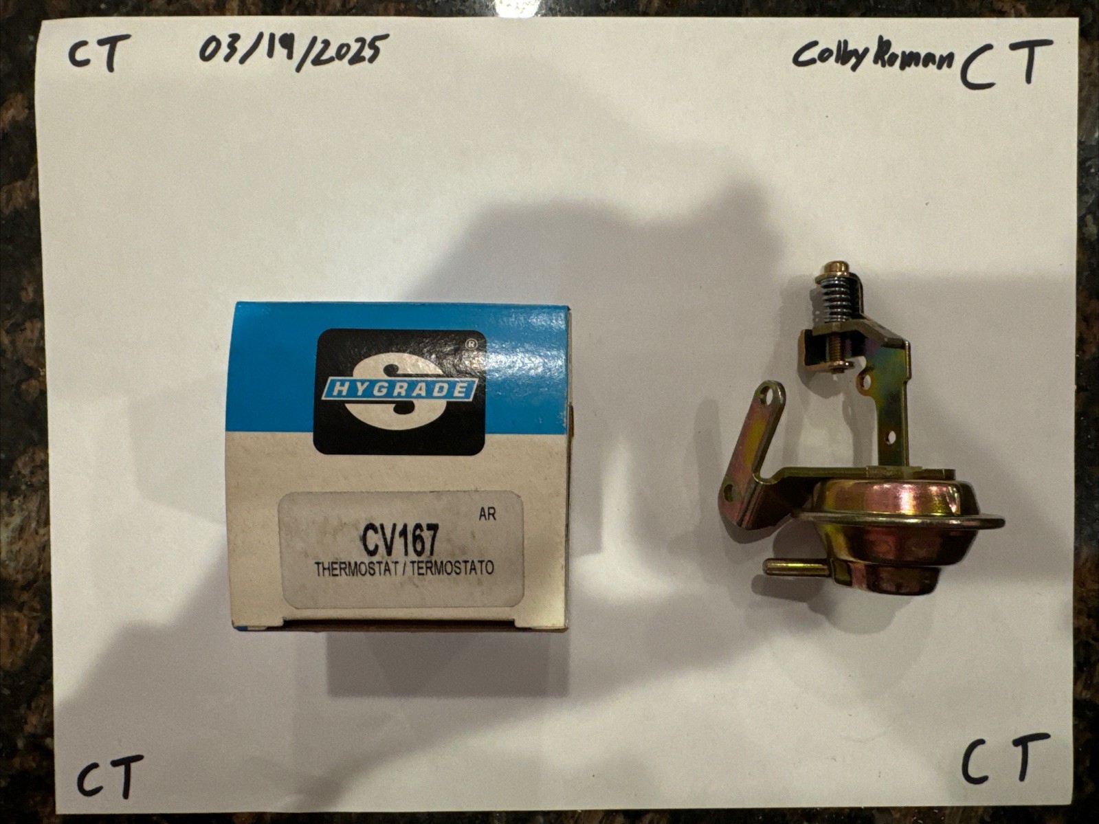 Standard Hygrade Thermostat/Termostato CV167