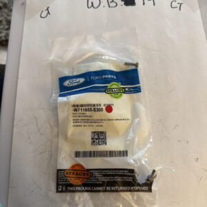 (2) Genuine Ford Air Mass Sensor Bolt -W711655-S300 Sold Individually