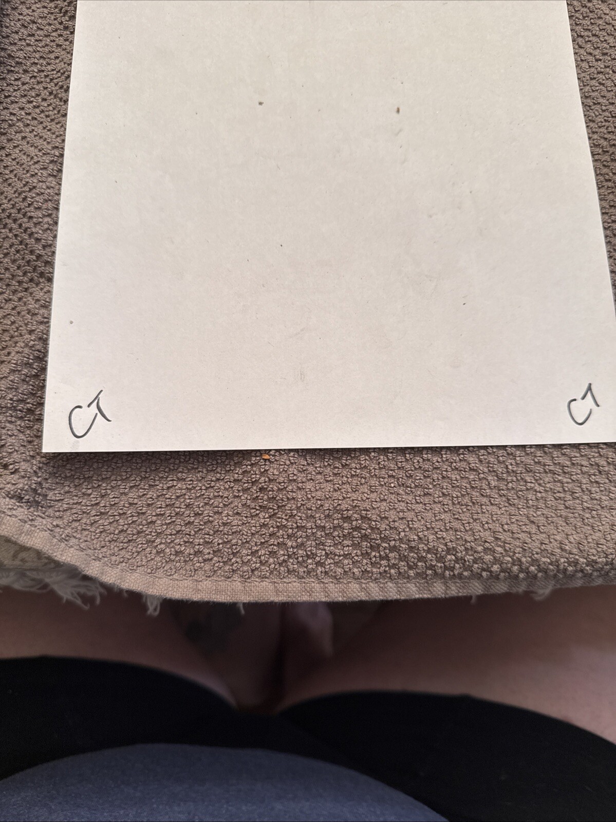 508G/12043777 Spark Plug Wire Set - Image 3