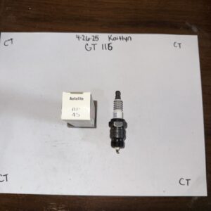 Autolite Platinum Plug AP45