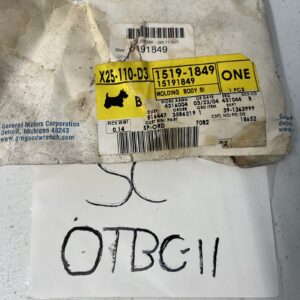 GM 15191849 Body Side Lower Rear Molding Assembly