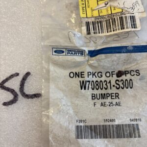 Genuine Ford OEM Bumper W708031-S300 NOS